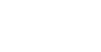 Flagship Group Logo